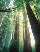 Environmental engagement at KYOCERA